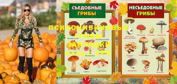 spice Арсеньев