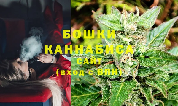 spice Арсеньев