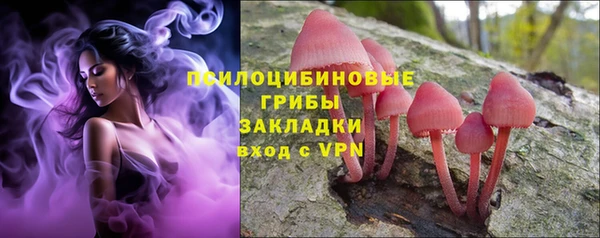 не бодяженный Аркадак